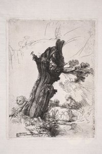 Święty Hieronim piszący przy pniu wierzby autorstwa Rembrandt van Rijn