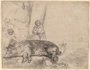Wieprz autorstwa Rembrandt van Rijn
