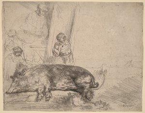 Hog autorstwa Rembrandt van Rijn