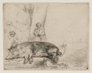 Hog autorstwa Rembrandt van Rijn