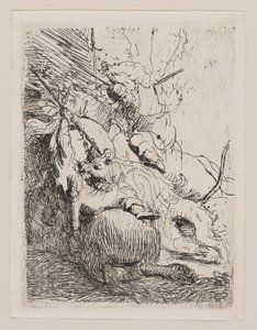 Polowanie na małe lwa (z jednym lwem) autorstwa Rembrandt van Rijn