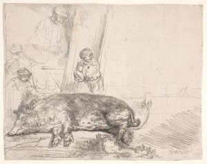 Świnia autorstwa Rembrandt van Rijn