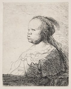 Biały czarny autorstwa Rembrandt van Rijn