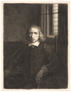 Thomas Jacobsz Haaring (zwany „młodym Harringiem”) autorstwa Rembrandt van Rijn