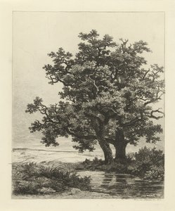 Dwa dęby nad jeziorem autorstwa Remigius Adrianus Haanen