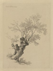 Wierzba autorstwa Remigius Adrianus Haanen