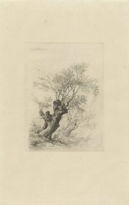 Wierzba autorstwa Remigius Adrianus Haanen