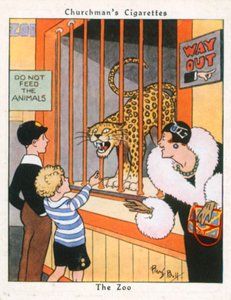 Zoo (kolorowa litografia)