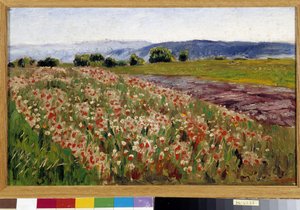 O campo de papoulas (pintura) polonês