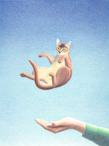 Catch autorstwa Rene Boin