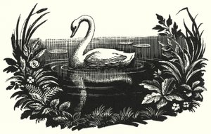 Hans Christian Andersen: Brzydkie kaczątko (lito) autorstwa Rex (after) Whistler