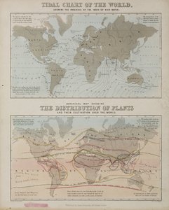 Wykres pływów i mapa rozmieszczenia roślin na świecie, ok. 1850 autorstwa John Pardon