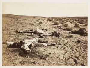 Martwy żołnierz w Tel-el-Kebir, Egipt, 6 grudnia 1882 r. autorstwa John Pardon