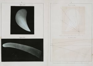 Kometa Halleya, październik 1835 r. autorstwa John Pardon