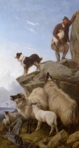 R.Ansdell, Zagubiona owieczka / malarstwo, 1868