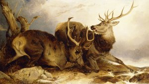 Walka, 1847