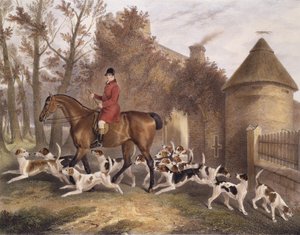 W. Sebright, Myśliwy do Milton Hounds, rytowany przez J.W. Gilesa, 1839