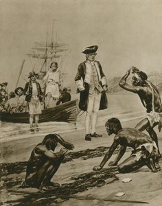 Jak powitano kapitana Cooka na Tasmanii (wklęsłodruk) autorstwa Richard Caton Woodville junior