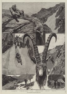 Ibex - Strzelectwo w Himalajach rycina autorstwa Richard Caton Woodville junior