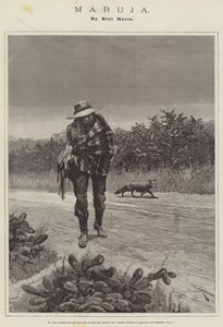 Maruja, by Bret Harte