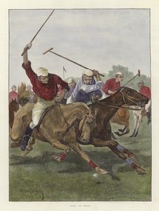 Polo w Indiach