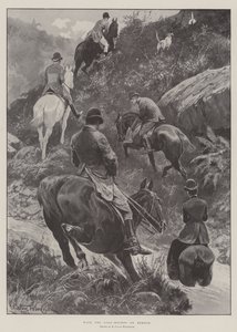 Z jeleniami na Exmoor