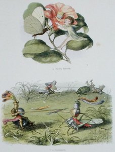 Tańczący motyl i turniej, ilustracje z „W krainie baśni: seria obrazków ze świata elfów” Williama Allinghama i Andrew Langa (kolor lito) autorstwa Richard Doyle