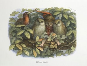 Elf i sowy autorstwa Richard Doyle