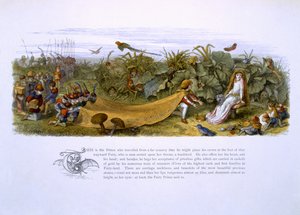 Ilustracje z książki 