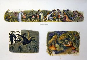 W krainie wróżek autorstwa Richard Doyle