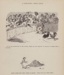 Strona z amerykańskiej trasy panów Browna, Jonesa i Robinsona (rycina) autorstwa Richard Doyle