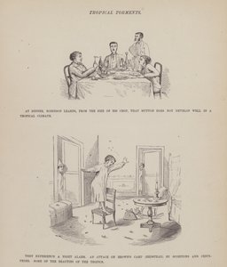 Strona z amerykańskiej trasy panów Browna, Jonesa i Robinsona (grawerunek) autorstwa Richard Doyle