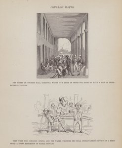 Strona z amerykańskiej trasy panów Browna, Jonesa i Robinsona (grawerunek) autorstwa Richard Doyle