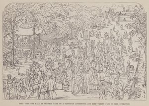 Strona z amerykańskiej trasy panów Browna, Jonesa i Robinsona (grawerunek) autorstwa Richard Doyle