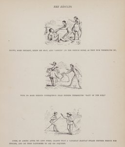 Strona z amerykańskiej trasy panów Browna, Jonesa i Robinsona (grawerunek) autorstwa Richard Doyle