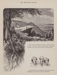 Strona z amerykańskiej trasy panów Browna, Jonesa i Robinsona (grawerunek) autorstwa Richard Doyle