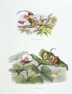 Biedny mały Birdie dokuczał, a zaloty zostały przerwane, ilustracje z 