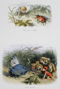 Mówiąc „Bo!” do żuka i drażni motyla, ilustracje z „W krainie baśni: seria obrazków ze świata elfów” Williama Allinghama i Andrew Langa (kolor lito) autorstwa Richard Doyle