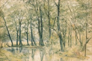 Studley Park, Yorkshire autorstwa Richard Doyle