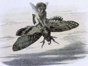 Un elfe chevauchant un papillon. Ilustracja Richarda Doyle