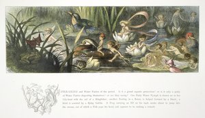 Lilie wodne i wróżki wodne autorstwa Richard Doyle