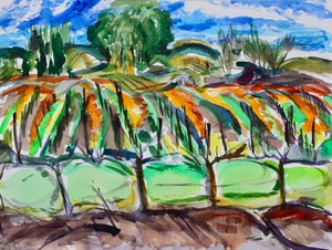 Jesienne Winnice, Napa, 2017 autorstwa Richard Fox