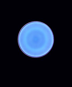 Circle X, 2005 (fotogram cyfrowy typu C)
