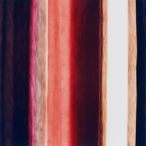 Stripe XI, 2005 autorstwa Richard Green
