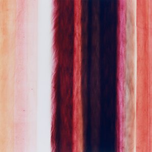 Stripe X, 2005 autorstwa Richard Green