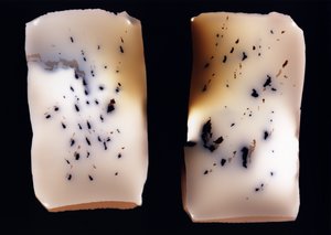 Bez tytułu (podwójne badanie), 2001 autorstwa Richard Green