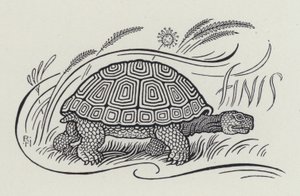 Zając i żółw (grawerowanie) autorstwa Richard Heighway