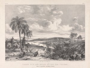Campos sur les bords Rio das Velhas autorstwa Richard Parkes Bonington