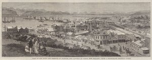 Część miasta i portu Dunedin, stolicy stanu Otago, Nowa Zelandia