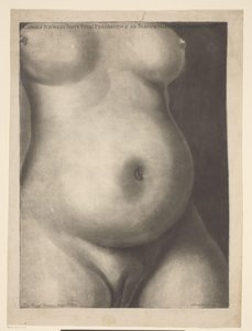 Tułów kobiety w ciąży Sześć anatomicznych odcisków ciąży (tytuł serii) Pokazy ciąży macicy kobiety w pełnym wymiarze godzin (...) (tytuł serii) Caroli Nicolai Jenty Uteri Praegnantis & ad Partum Maturi Demonstrationes (seria